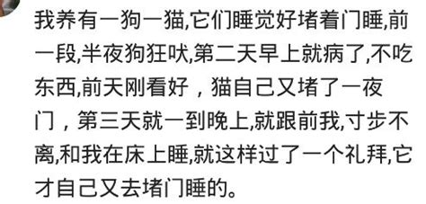 夢到很多屍體|【夢到很多屍體】驚悚夢境揭秘：夢到一大羣屍體，預示著什麼？。